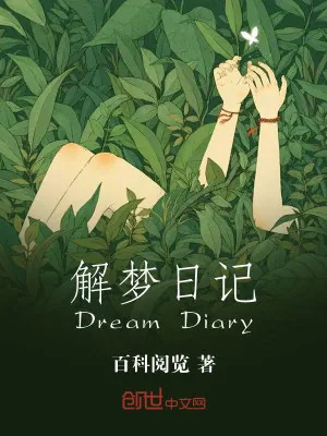 《解梦日记》小说封面