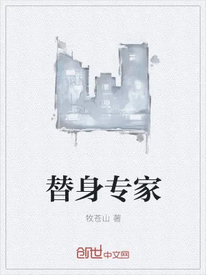 《替身专家》小说封面