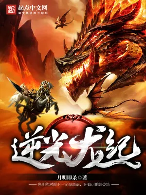 《逆光龙纪》小说封面