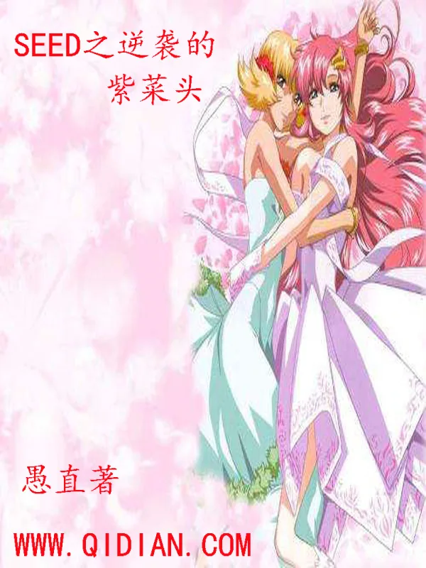 《SEED之逆袭的紫菜头》小说封面