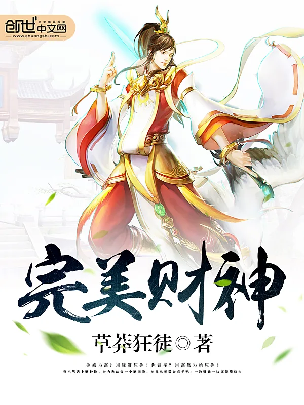 《完美财神》小说封面