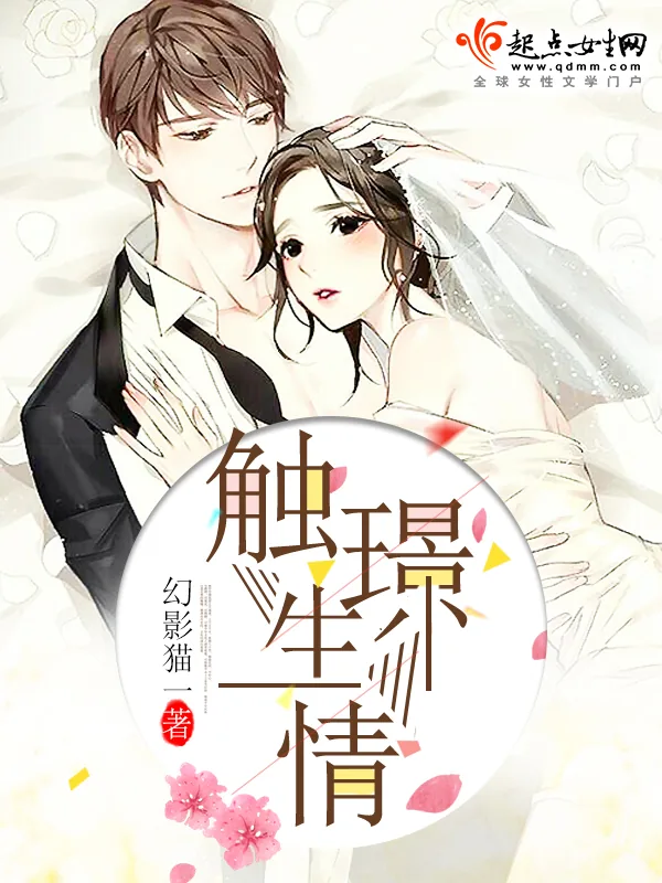 《触璟生情》小说封面