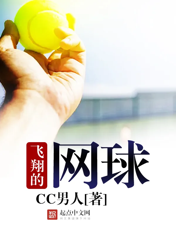 《飞翔的网球》小说封面