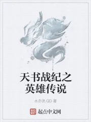 《天书战纪之英雄传说》小说封面