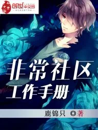《非常社区工作手册》小说封面
