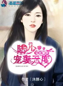 《枭妻来袭：陆少宠妻无度》小说封面
