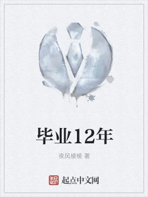 《入仕12年》小说封面