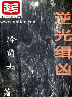 《逆光缉凶》小说封面