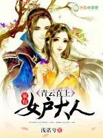 《青云直上：家有女户大人》小说封面