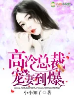 《高冷总裁，宠妻到爆》小说封面