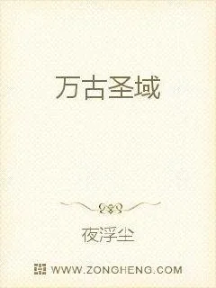 《万古圣域》小说封面