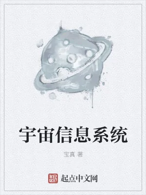 《宇宙信息系统》小说封面
