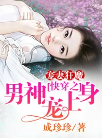 《宠妻狂魔：快穿之男神宠上身》小说封面