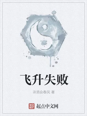 《飞升失败》小说封面