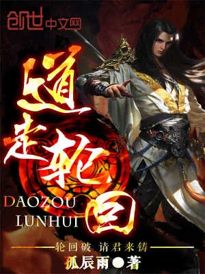 《道走轮回》小说封面