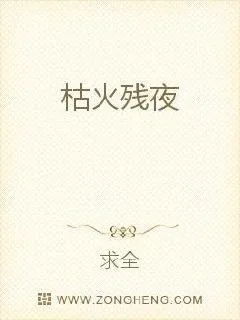 《枯火残夜》小说封面