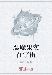 《恶魔果实在宇宙》小说封面