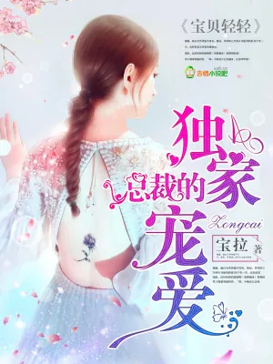 《宝贝轻轻：总裁的独家宠爱》小说封面