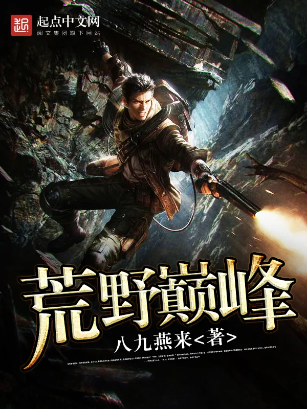《荒野巅峰》小说封面