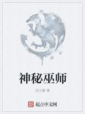 《神秘巫师》小说封面