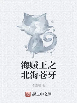 《海贼王之北海苍牙》小说封面