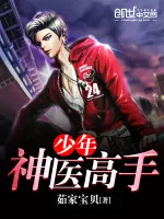 《少年神医高手》小说封面