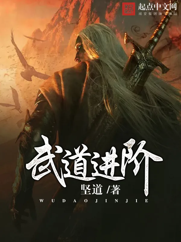 《武道进阶》小说封面