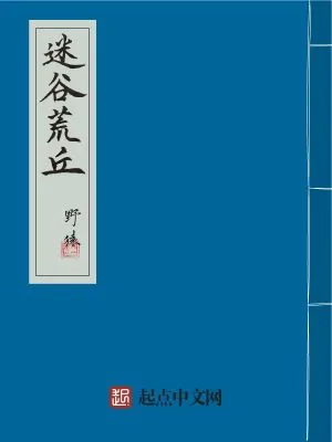 《迷谷荒丘》小说封面