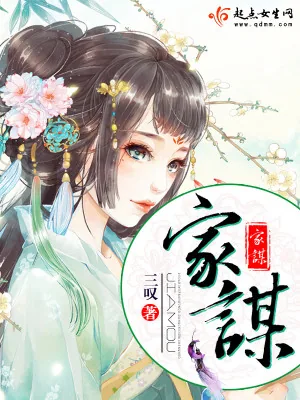 《家谋》小说封面