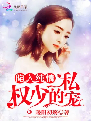 《陷入纯情：权少的私宠》小说封面