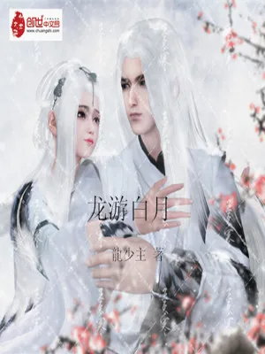 《御龙葬剑传》小说封面
