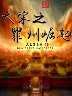 《大宋之罪州崛起》小说封面