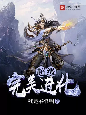《超级完美进化》小说封面