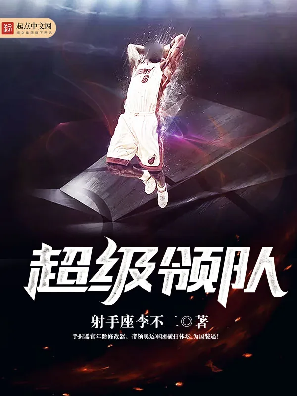 《超级领队》小说封面