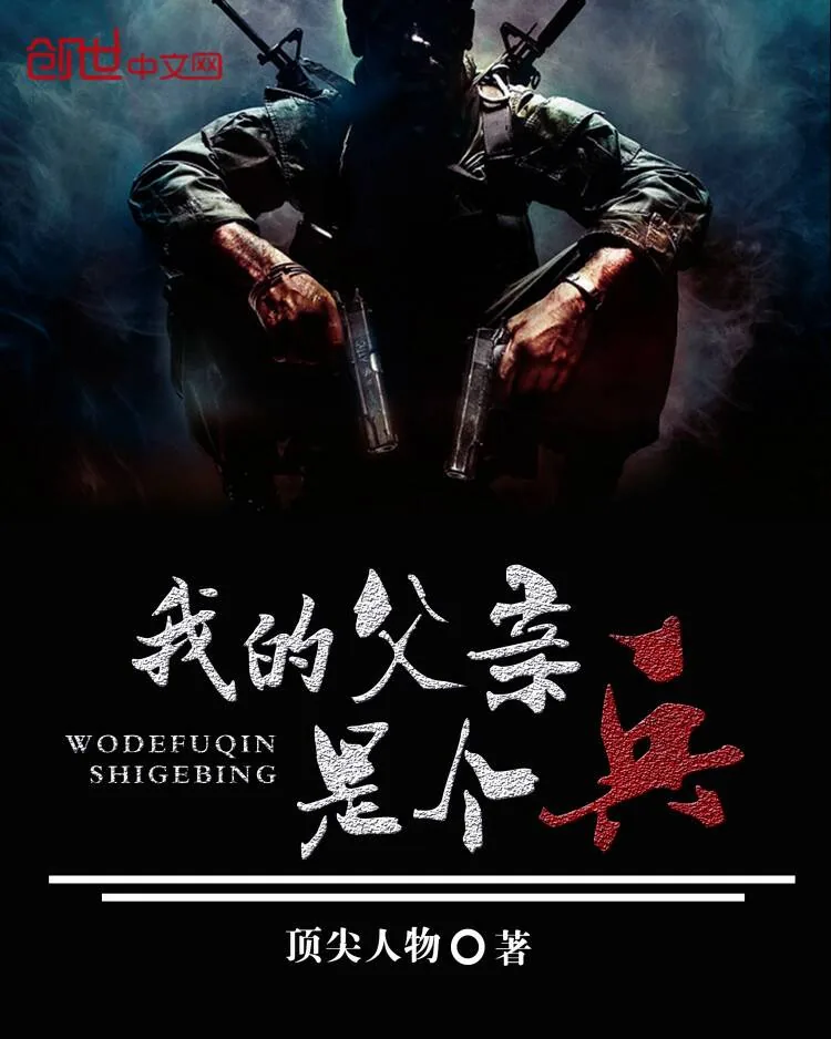 《我的父亲是个兵》小说封面