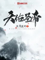 《天佑圣帝》小说封面