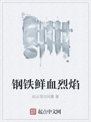《钢铁鲜血烈焰》小说封面