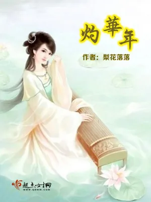 《灼华年》小说封面