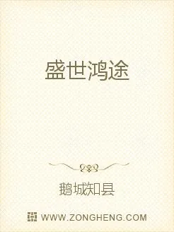 《盛世鸿途》小说封面