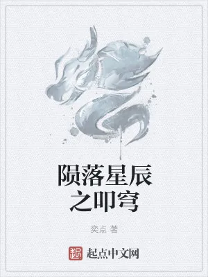《陨落星辰之叩穹》小说封面