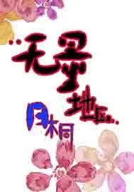 《无量地区》小说封面