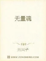 《无量魂》小说封面