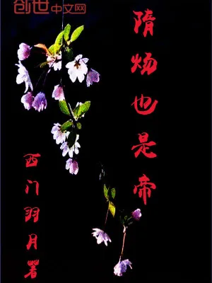 《隋炀也是帝》小说封面
