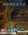 《花与剑与法兰西》小说封面