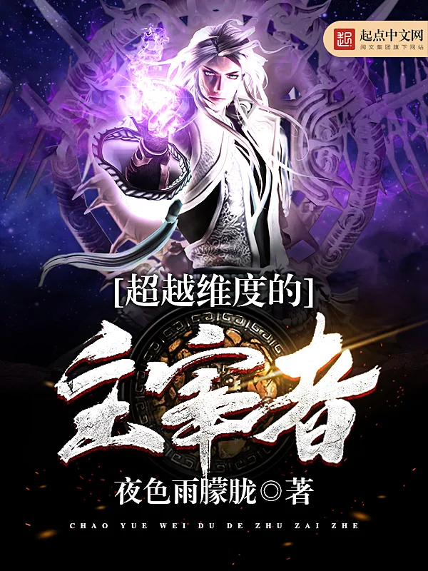 《超越维度的主宰者》小说封面