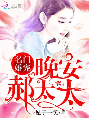 《名门婚宠：晚安，郝太太》小说封面