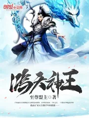 《鸿天神王》小说封面