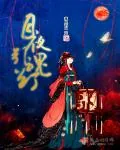 《月夜引魂灯》小说封面
