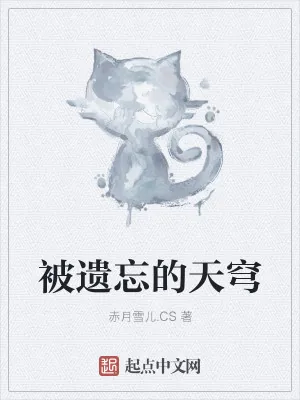 《被遗忘的天穹》小说封面