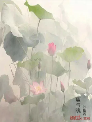 《莲与魂》小说封面